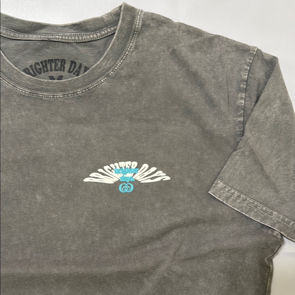 WASHED Gray T-Shirt by Brighter Days Size M New without tag. - Picture 3 of 5